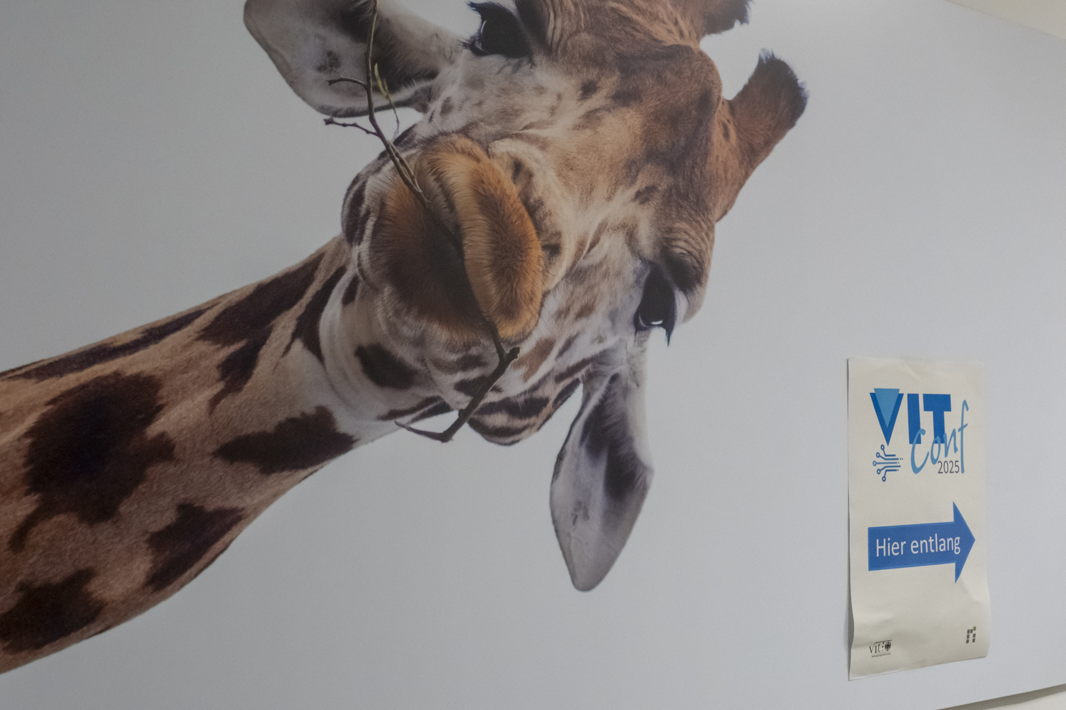 Auf der Wandekoration, die das Bild einer Giraffe zeigt, ist ein Hinweisschild zur VITConf geklebt.